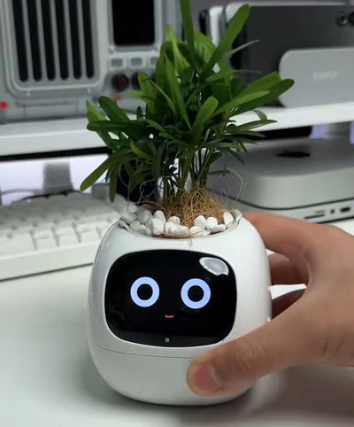 Installation en 30 secondes.