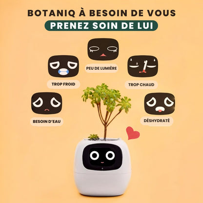 Botaniq – La plante interactive