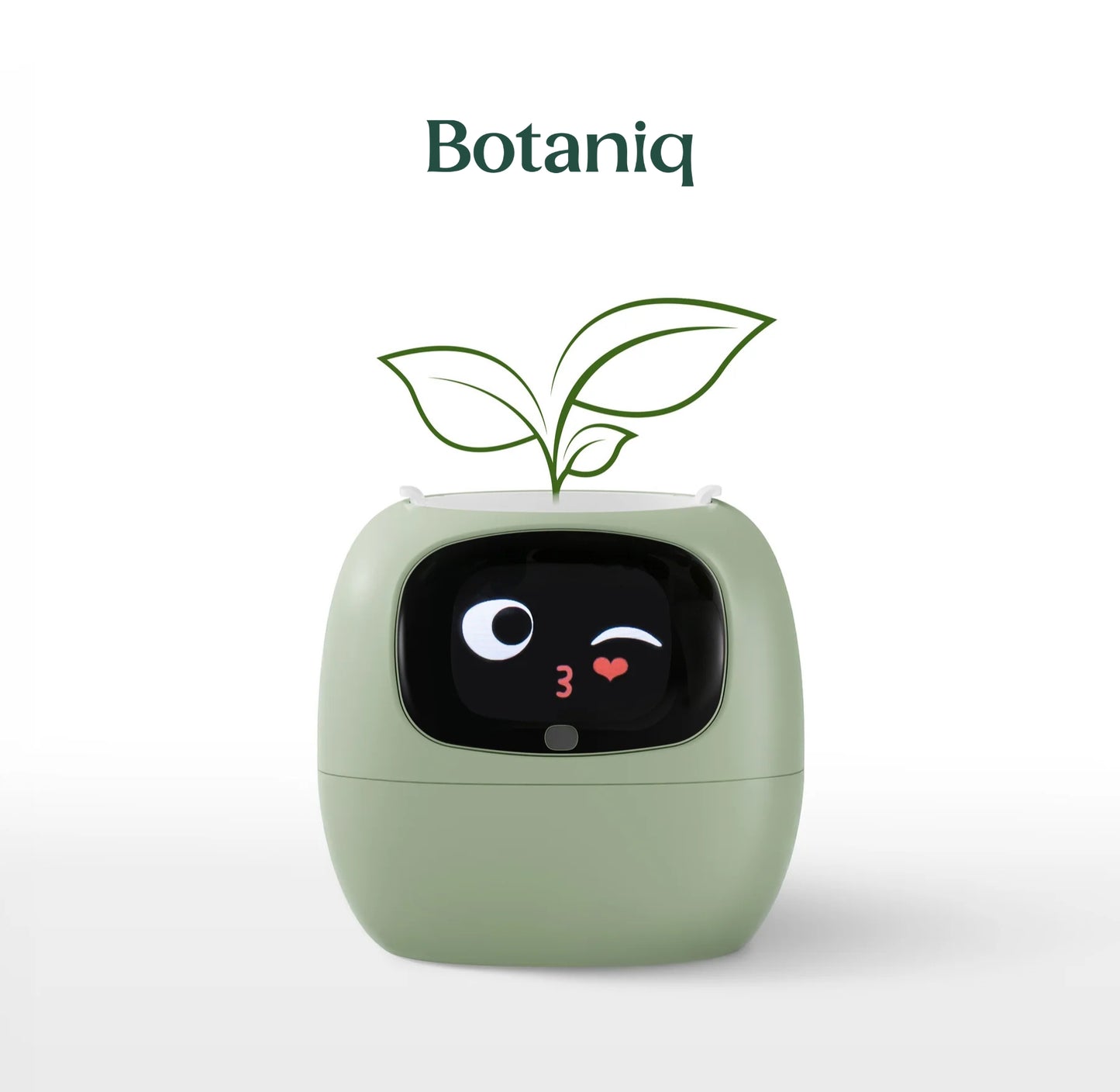 Botaniq – La plante interactive