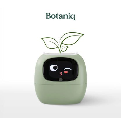 Botaniq – La plante interactive