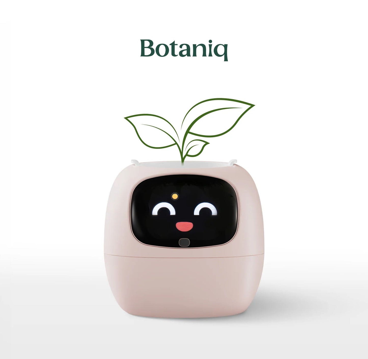 Botaniq – La plante interactive